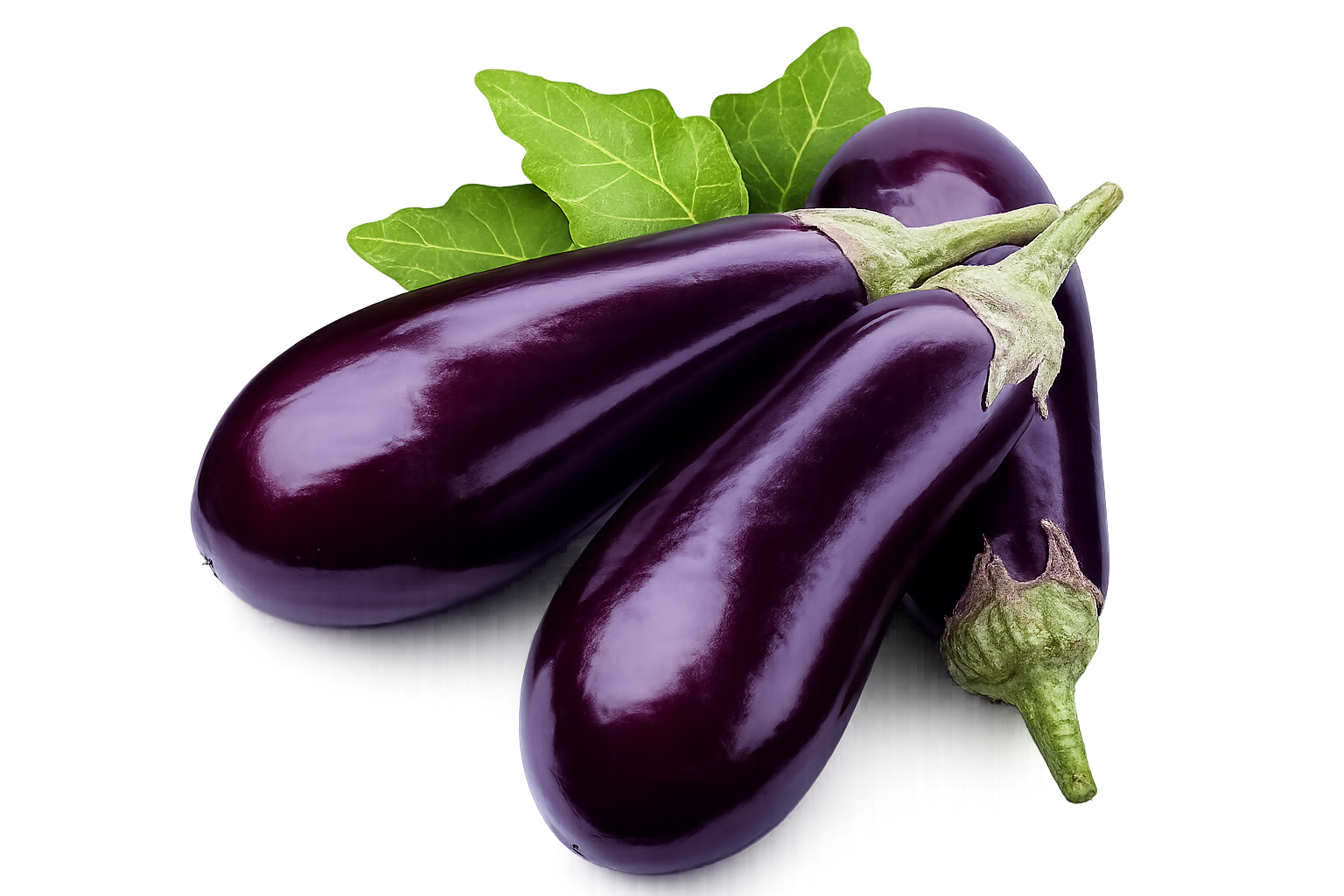 Purple Eggplant